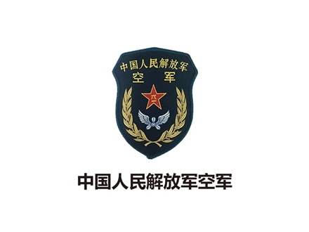 中國(guó)人民解放軍空軍